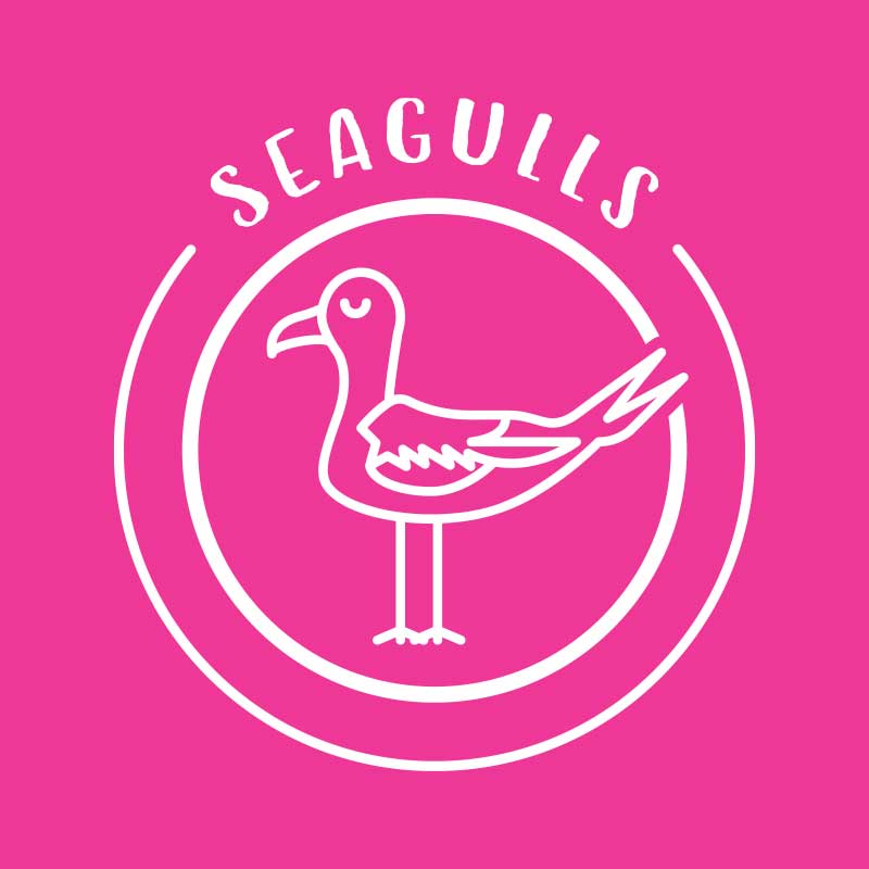 seagulls 800